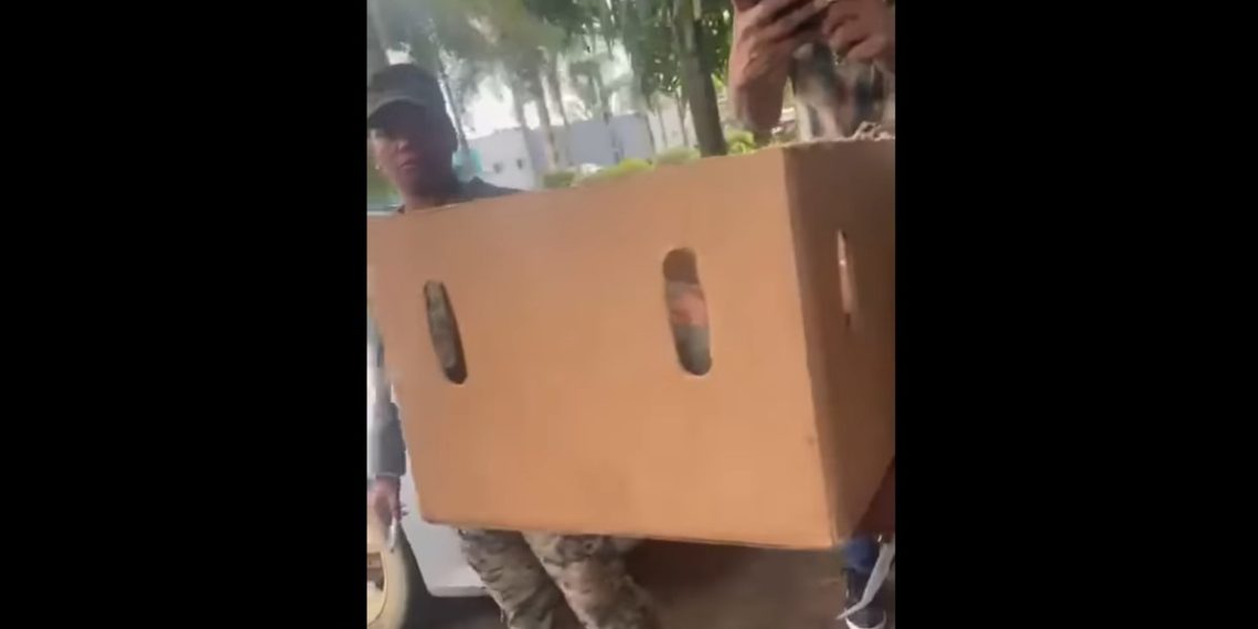 Bebé recién nacido es abandonado en una caja en hospital de Guerra
